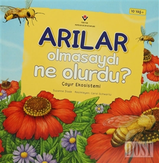 Arılar Olmasaydı Ne Olurdu? - Besin Zinciri Tepkimeleri